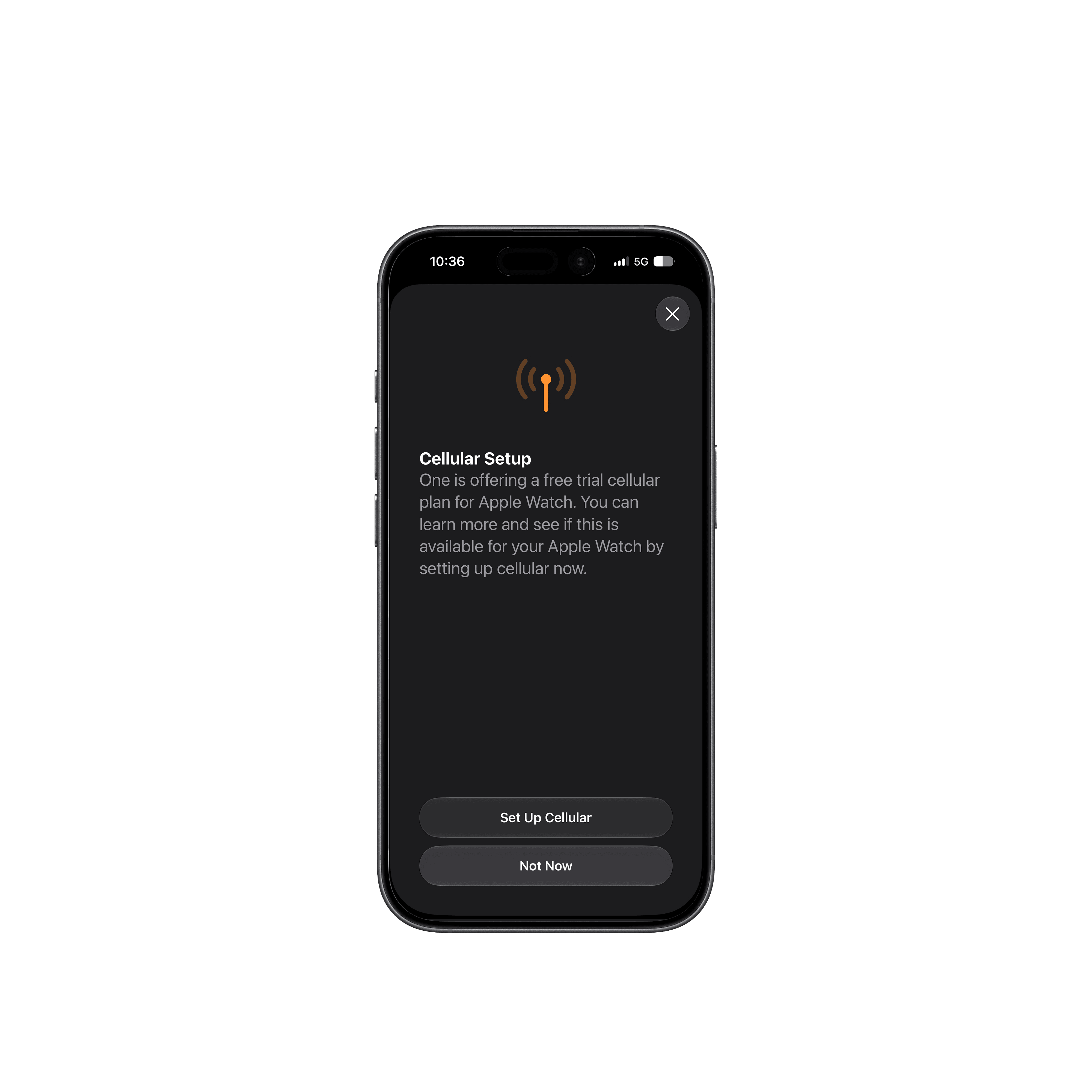 Cellular Setup