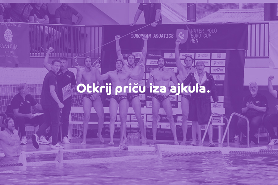 Promotivni vizual