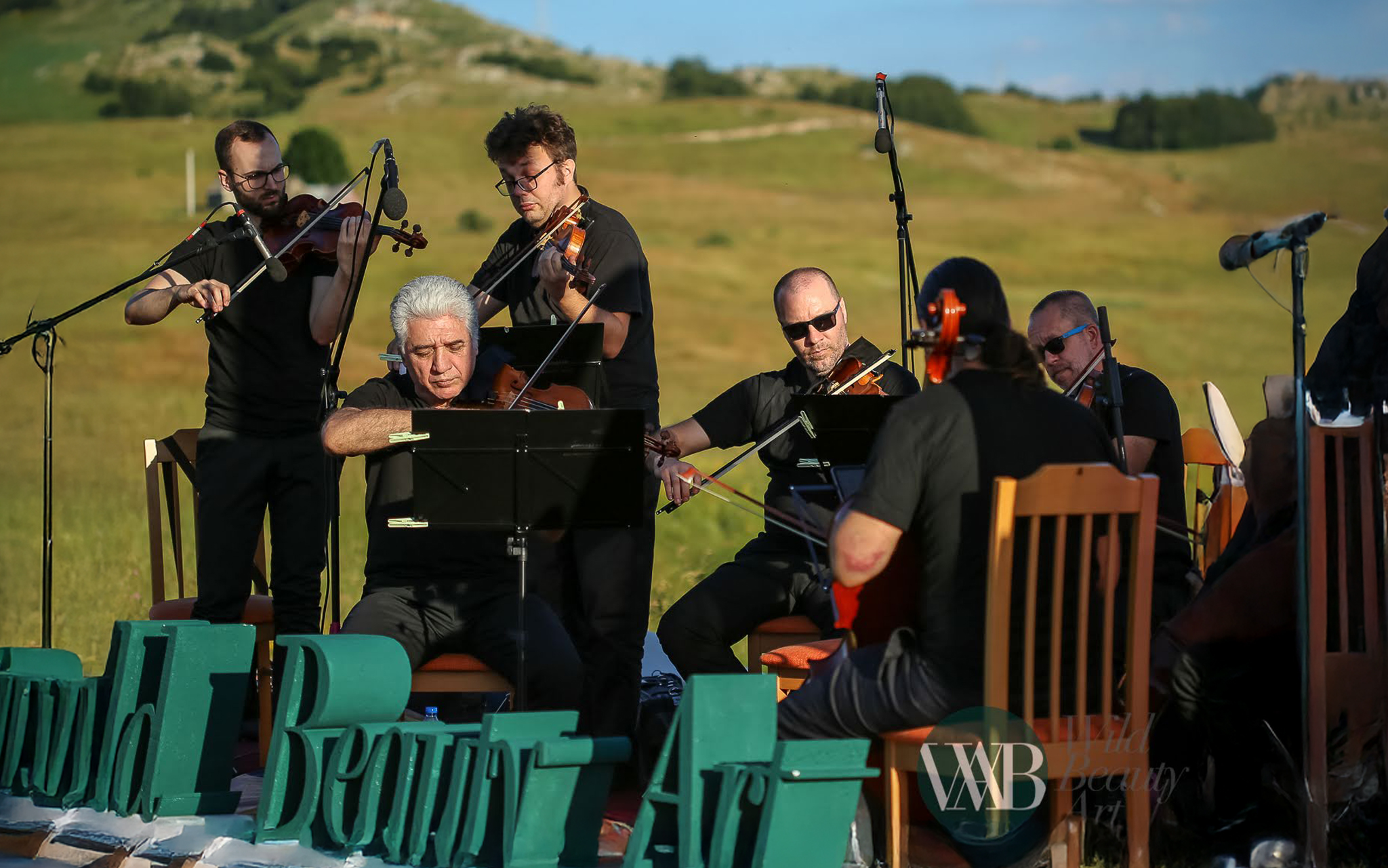 Wild Beauty Art Festival